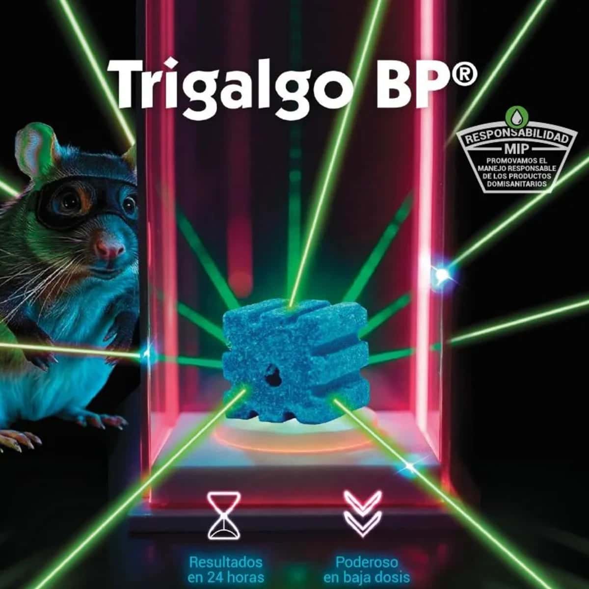 Trigalgo BP
