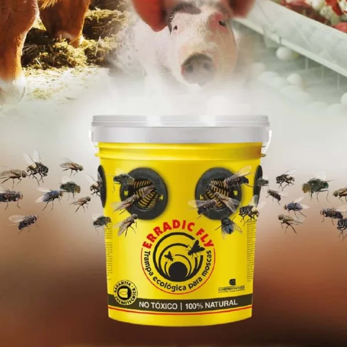 Erradic Fly